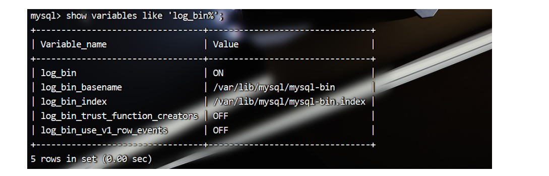 mysql
